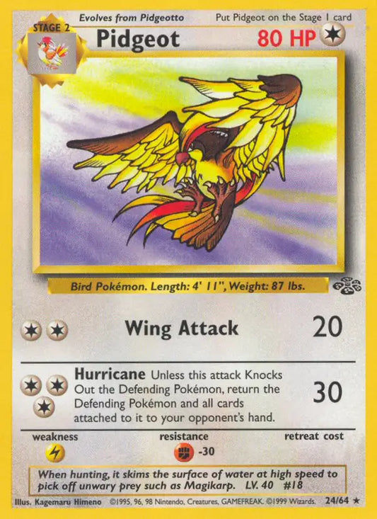 Pidgeot (24/64) [Jungle - Unlimited]